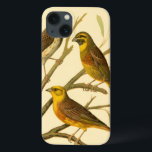 Three Domestic Birds Perched on a Branch iPhone 13 Case<br><div class="desc">Artist W. Rutledge captured perfectly the vivid colours of those domestic birds. Get this simple yet beautifully realistic painting. Side view of two yellow birds and one darker bird on a branch and looking in different directions.</div>