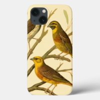 Three Domestic Birds Perched on a Branch