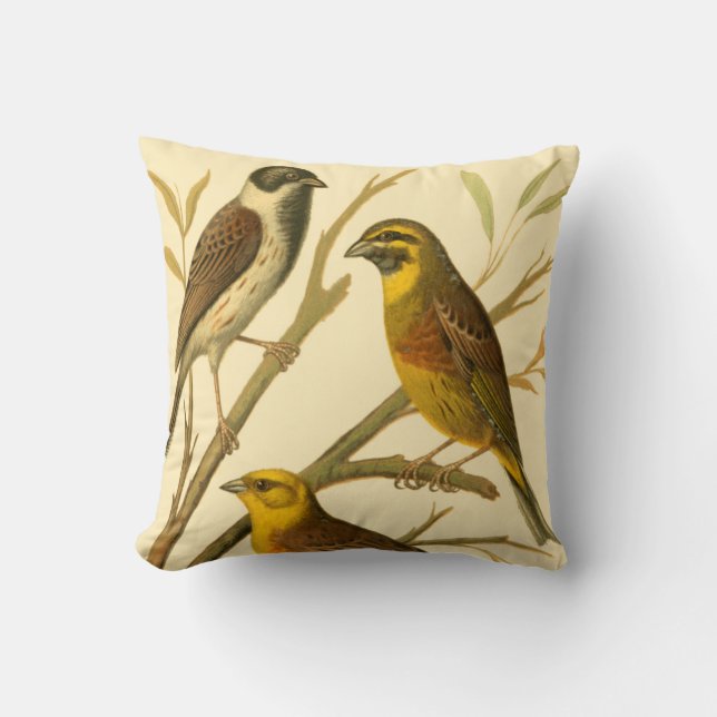 Three Domestic Birds Perched on a Branch Cushion (Front)
