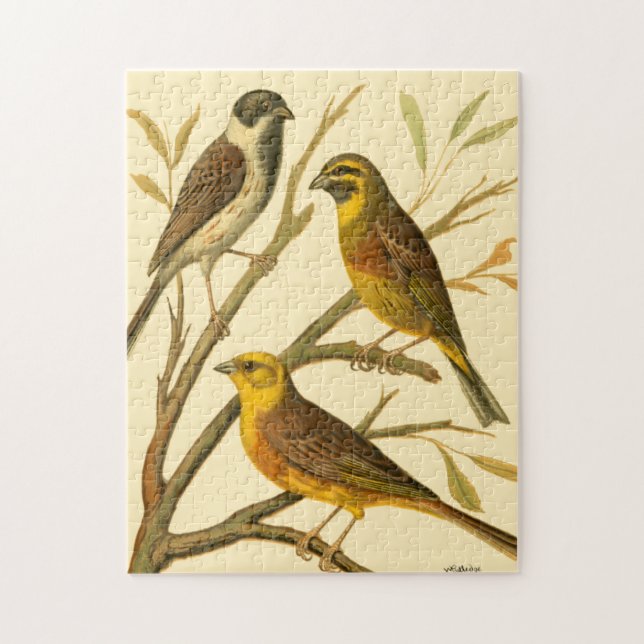 Three Domestic Birds Perched on a Branch Jigsaw Puzzle (Vertical)