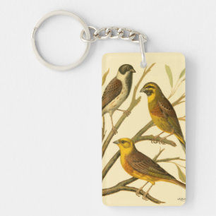 Three Domestic Birds Perched on a Branch Key Ring