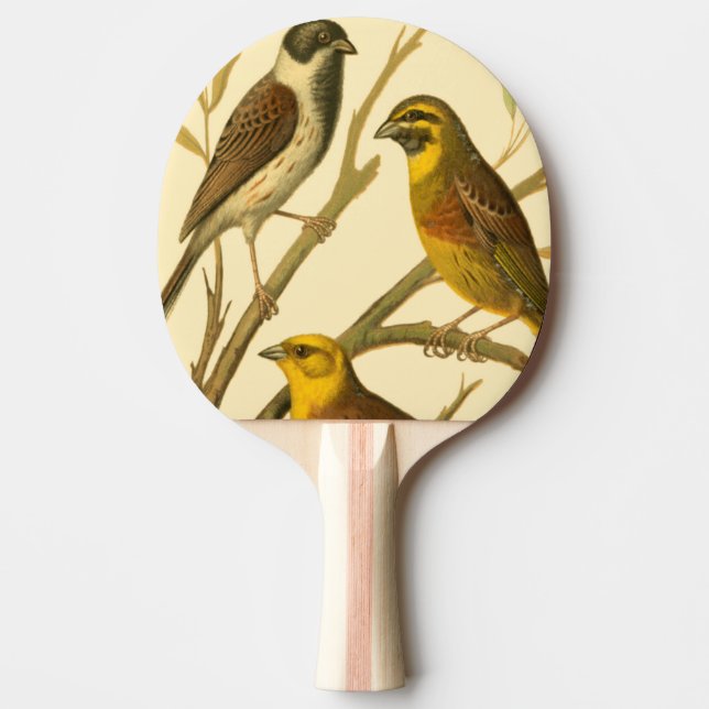 Three Domestic Birds Perched on a Branch Ping Pong Paddle (Front)