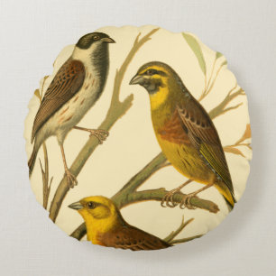 Three Domestic Birds Perched on a Branch Round Cushion