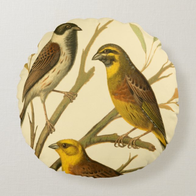 Three Domestic Birds Perched on a Branch Round Cushion (Front)