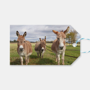Three Donkey’s Gift Tags