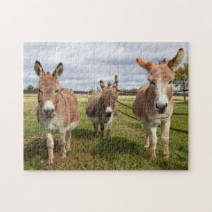 Three Donkey’s Jigsaw Puzzle