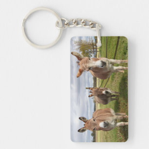 Three Donkey’s Key Ring