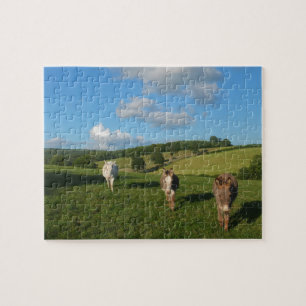 Three Donkeys in a Field Jigsaw Puzzle