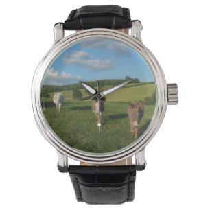 Three Donkeys in a Field Watch