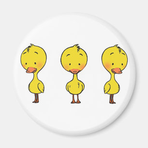Three ducks magnet