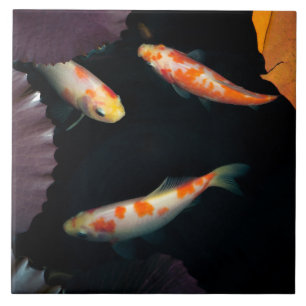 Three elegant koi in water lily pond ceramic tile