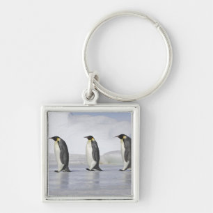 Three Emperor Penguins, Snow Hill Island Key Ring