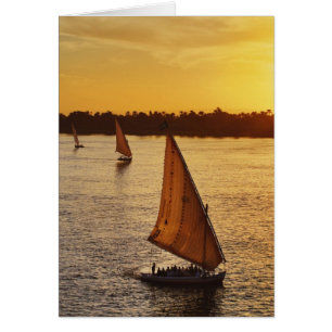 Three falukas with sightseers on Nile River at