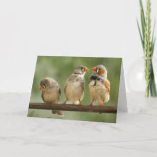 Three Finches on a Twig Card