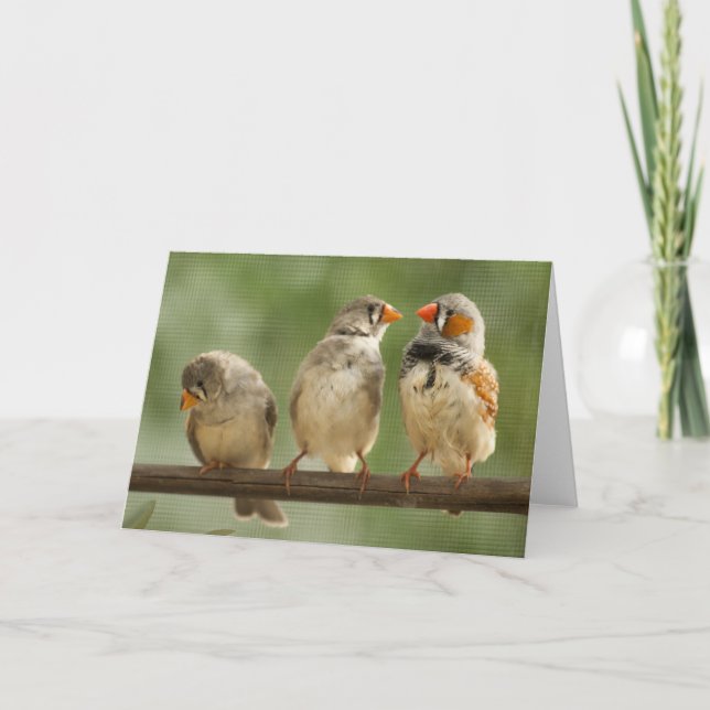 Three Finches on a Twig Card (Front)