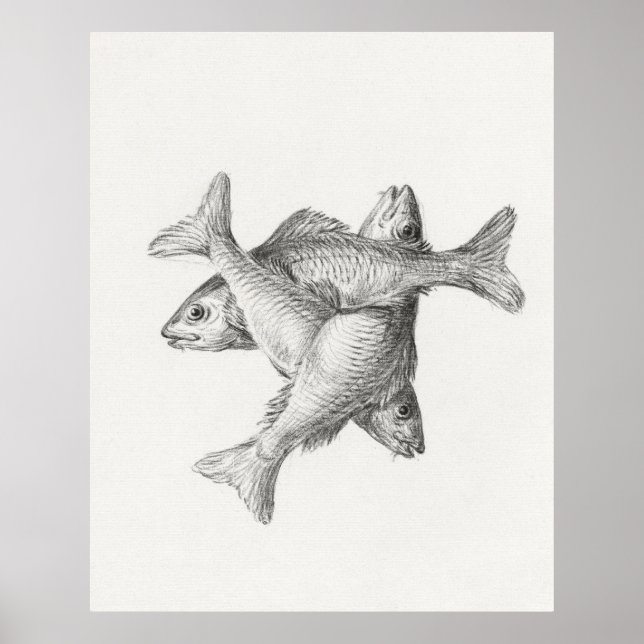 Three Fishes Poster (Front)