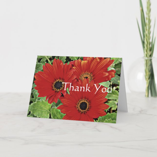 Three flowers as they bloom in red, Thank you (Front)