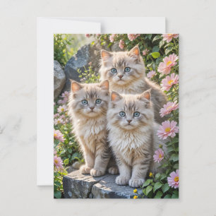 Three Fluffy Kittens in pink flowers Postcard