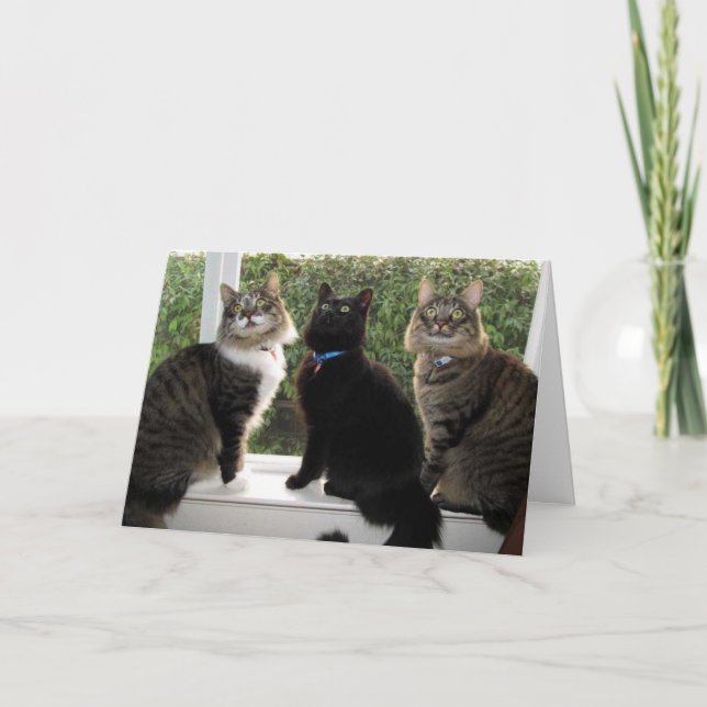 Three Friends "Time For Cake" Birthday Card (Front)