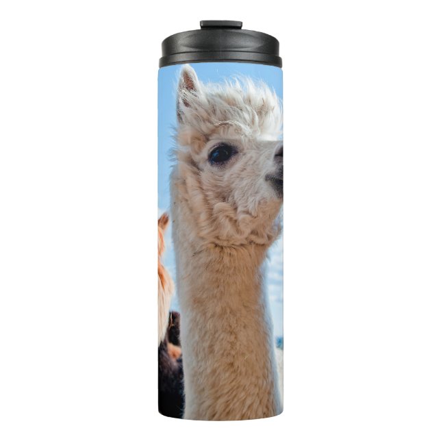 Three Funny Alpacas Thermal Tumbler (Front)