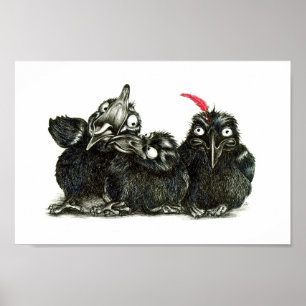 Three Funny Ravens - One red Feather Poster