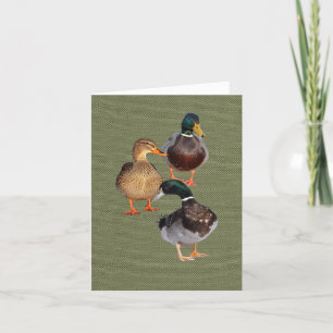Three funny wild Ducks Folded Greeting Card