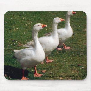 Three Geese a Strutting - Mousemat. Customise. Mouse Pad