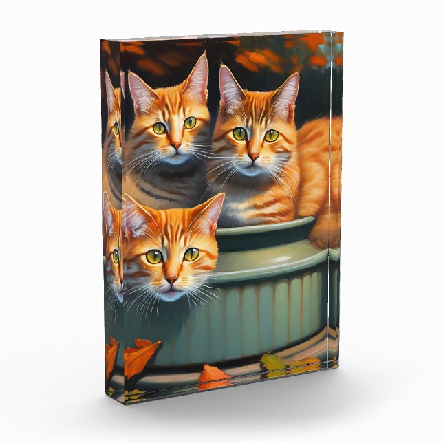 Three Ginger Cats In A Pot, Photo Block (Left)