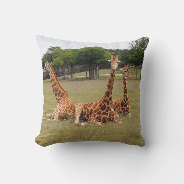 Three Giraffe at Fossil Rim Cushion (Front)