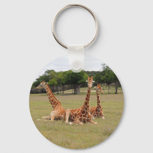 Three Giraffe at Fossil Rim Key Ring