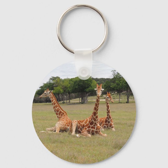 Three Giraffe at Fossil Rim Key Ring (Front)