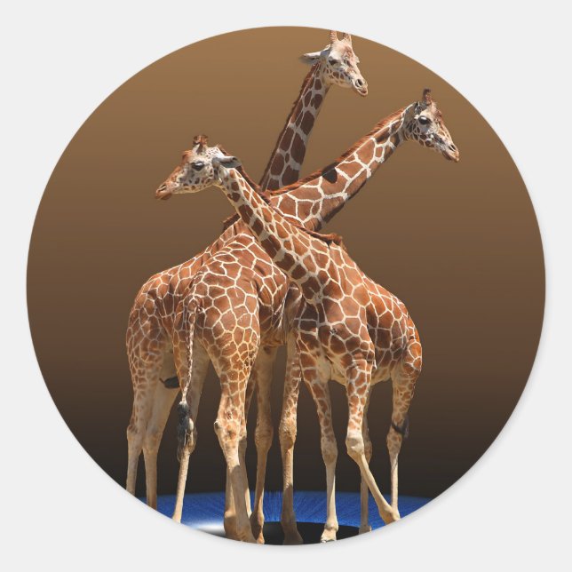 THREE GIRAFFES CLASSIC ROUND STICKER (Front)