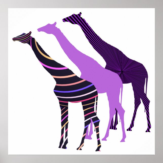 Three Giraffes Design 5 Poster (Front)