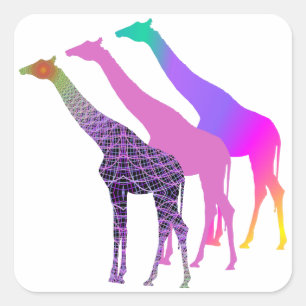 Three Giraffes Design 5 Square Sticker