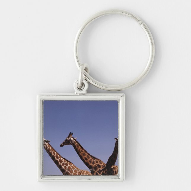 Three giraffes key ring (Front)