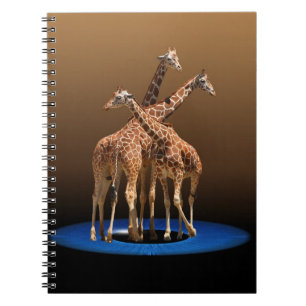 THREE GIRAFFES NOTEBOOK