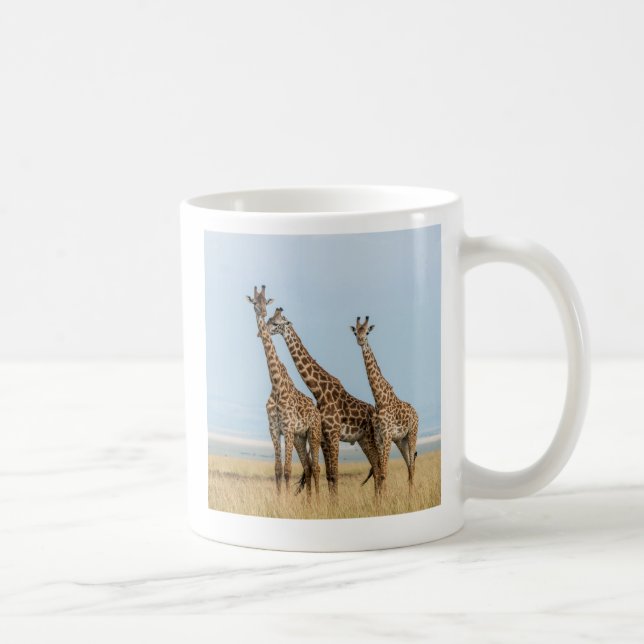 Three Giraffes Posing Coffee Mug (Right)