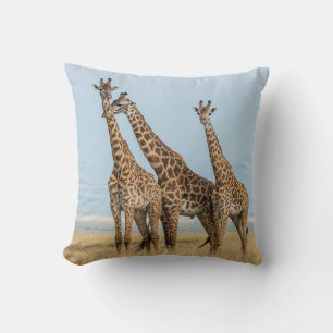 Three Giraffes Posing Cushion