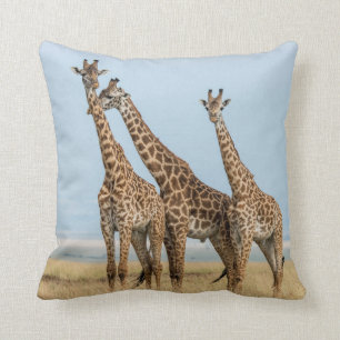 Three Giraffes Posing Cushion