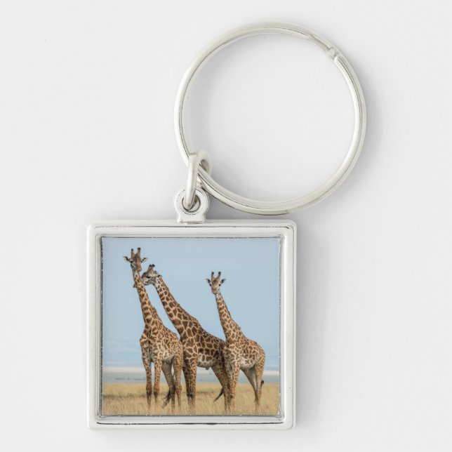 Three Giraffes Posing Key Ring (Front)