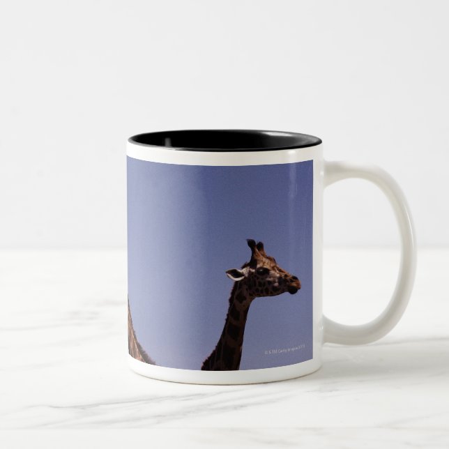 Three giraffes Two-Tone coffee mug (Right)