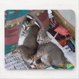 Three girls mouse pad