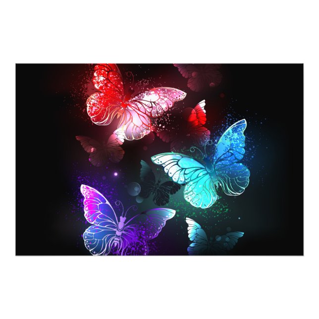 Three Glowing Butterflies on night background Photo Print (Front)