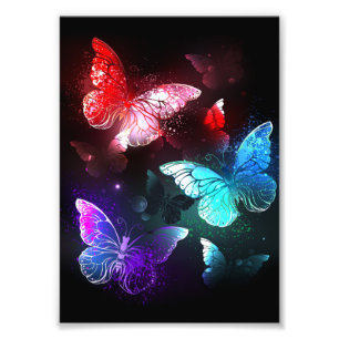Three Glowing Butterflies on night background Photo Print