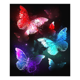 Three Glowing Butterflies on night background Photo Print