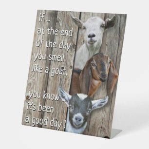 Three Goat Portrait Cute Goat Poem Pedestal Sign