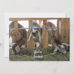 Three Goats Invitation