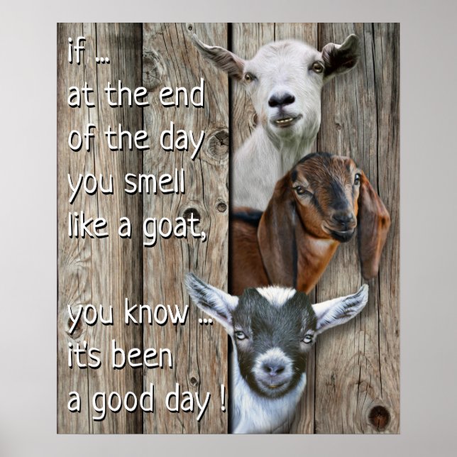 Three Goats  Portrait - Cute Smell Like a Goat Poster (Front)
