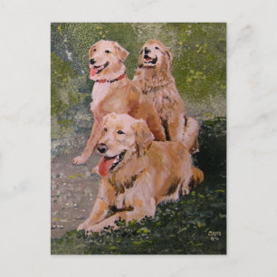 Three Golden Generations Postcard