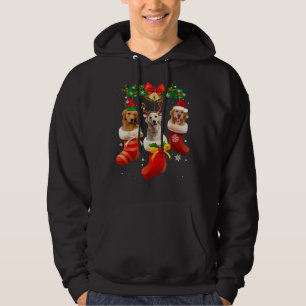 Three Golden Retriever In Sock Christmas Pajama Xm Hoodie